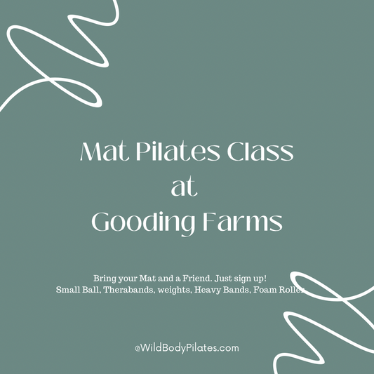 Mat Pilates ~ Pilates With Props